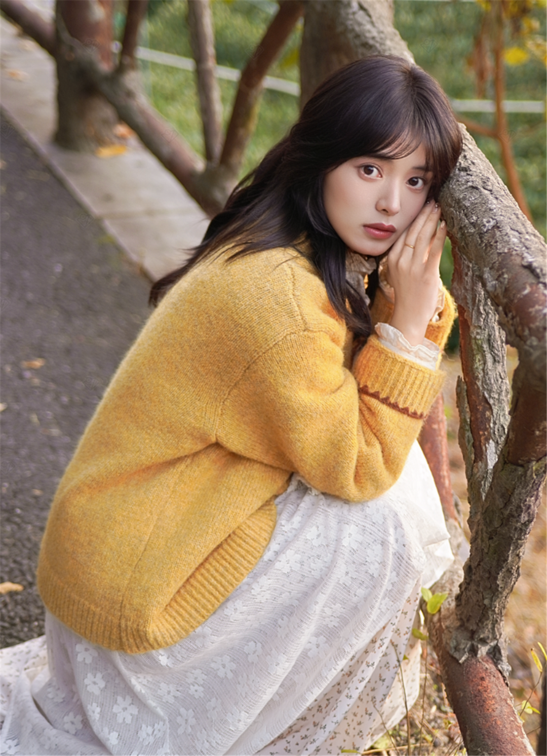 AF 50mm F1.8（APS-C）