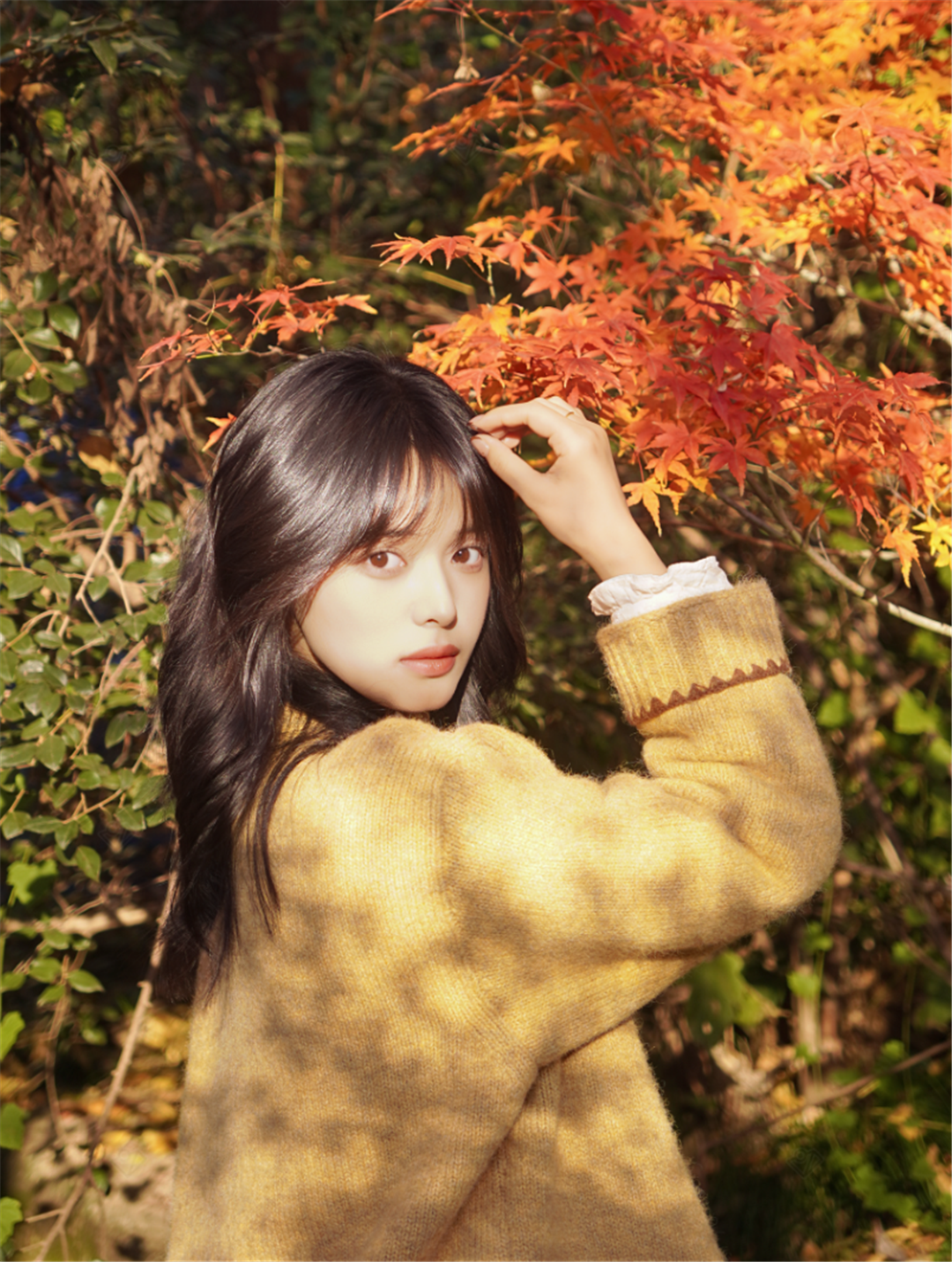 AF 50mm F1.8（APS-C）